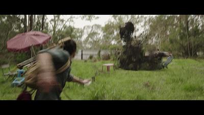 最新電影在線觀看,自然美景的心靈之旅之旅